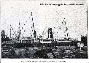 DELFIN- TRASMEDITERRANEA